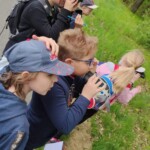 Zielona szkoła - spacer przyrodniczy z lornetkami